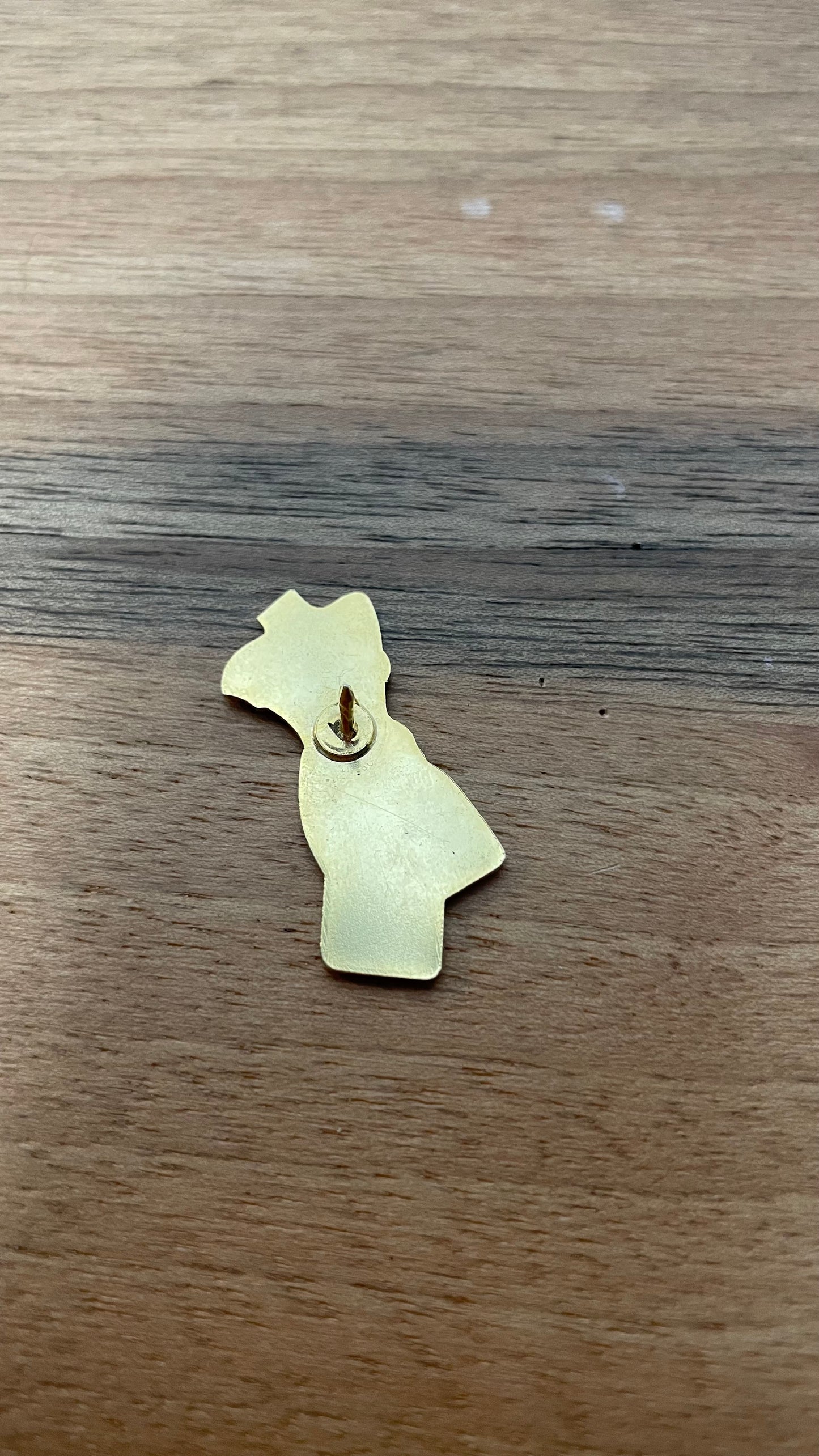 Pin’s vintage